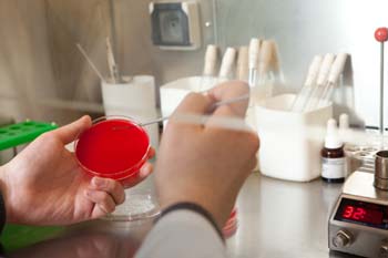 laboratornye_analizy_obyazatelnye.jpg